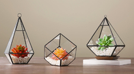 Handmade Geometric Irregular Micro Landscape / Flower Craft Small Glass Planters